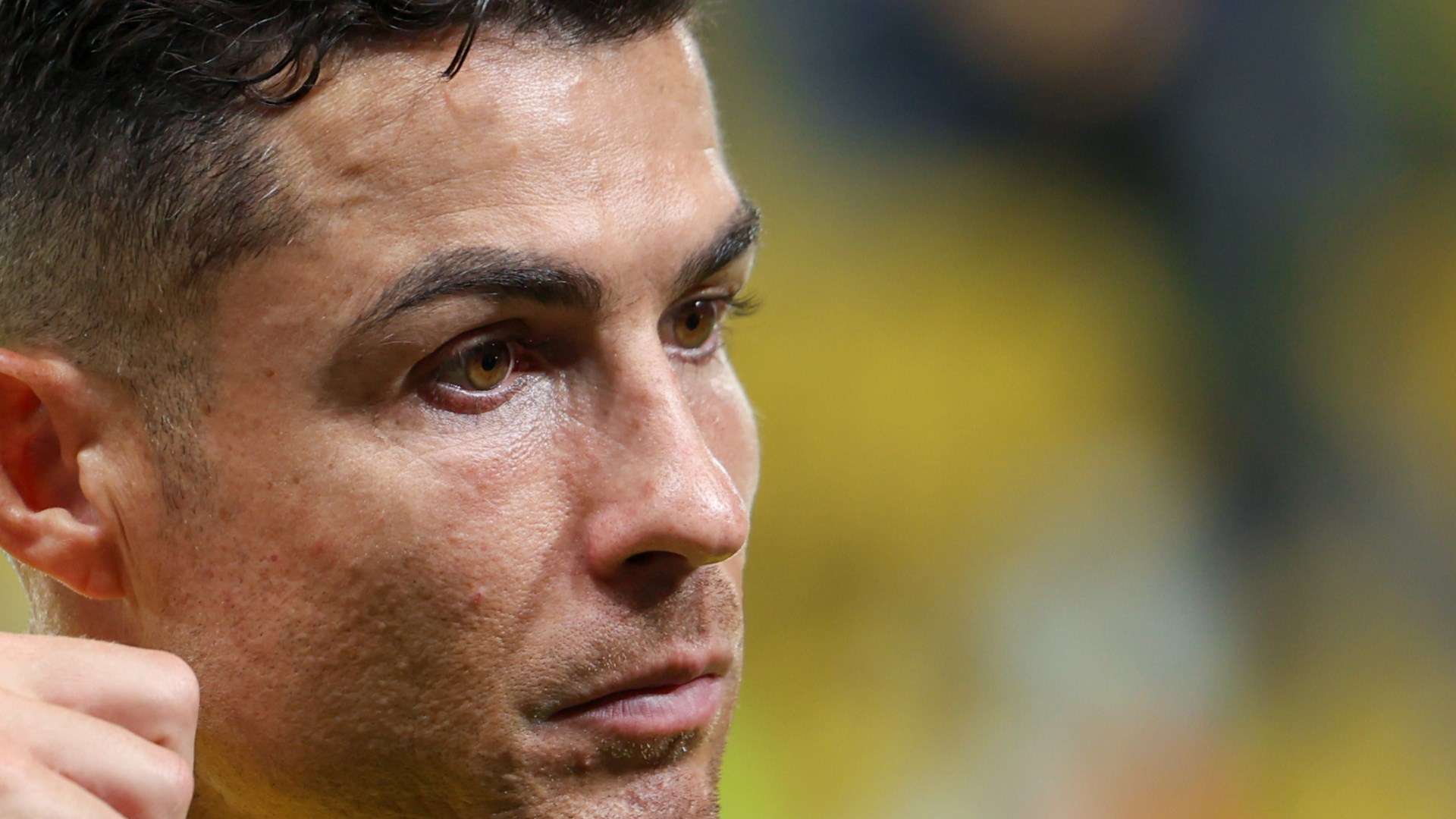 的运营模式 的运营模式